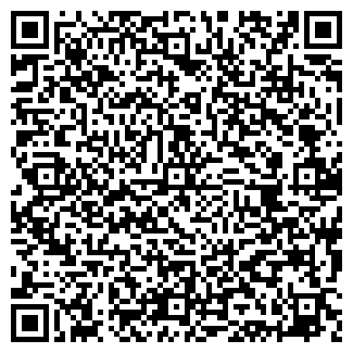 QR-код с контактной информацией организации Ткачук, ЧП