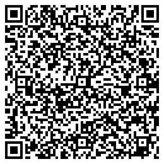 QR-код с контактной информацией организации Санко, ООО