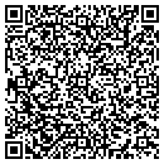 QR-код с контактной информацией организации Шинкарёв, ИП