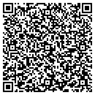 QR-код с контактной информацией организации Тиньков, ЧП