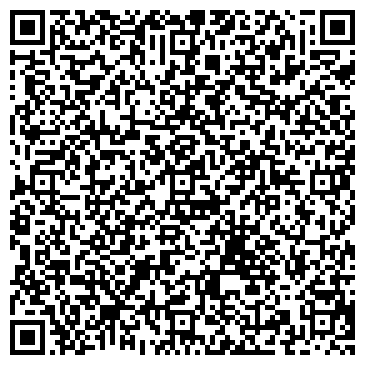 QR-код с контактной информацией организации Вулкан, Компания