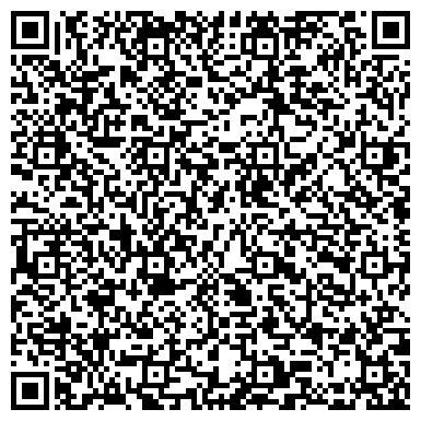 QR-код с контактной информацией организации Dishes Impire (Дишес Импайр), ТОО