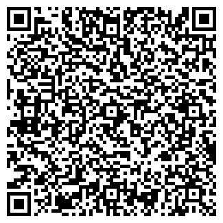 QR-код с контактной информацией организации Солимэкс, ТОО