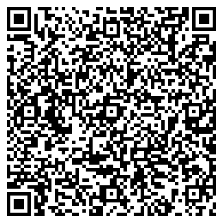 QR-код с контактной информацией организации ИП Абдильдин