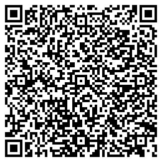QR-код с контактной информацией организации Gansmoto