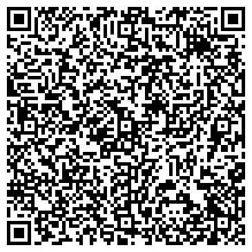 QR-код с контактной информацией организации Dalimir Studio (Далимир Студио), ИП