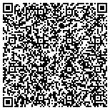 QR-код с контактной информацией организации Жетису Sysnems Incorporated (Сиснемс Инкорпорейд), ТОО