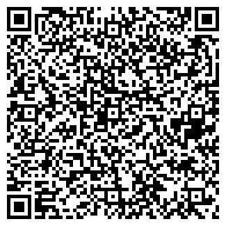 QR-код с контактной информацией организации ИП "Самеев М.Н"