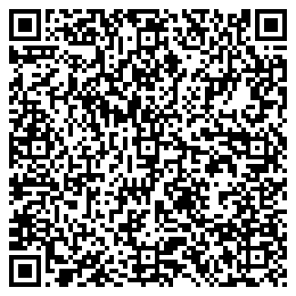 QR-код с контактной информацией организации Москалева, ИП