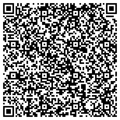 QR-код с контактной информацией организации Частное предприятие Интернет магазин Skoda.biz.ua