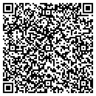 QR-код с контактной информацией организации Интернет Магазин "Tiss"
