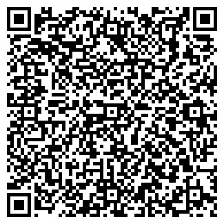 QR-код с контактной информацией организации Магниты, ЧП