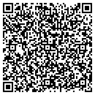 QR-код с контактной информацией организации Теополис Компания, ООО