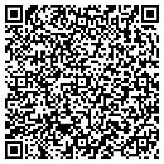 QR-код с контактной информацией организации ДокаМир, ЧП