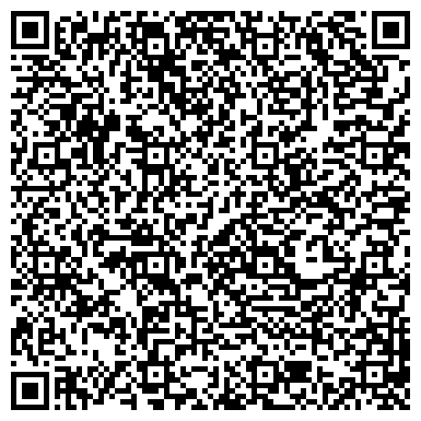 QR-код с контактной информацией организации Вирго Инвест Украина, ЧП (Klingspor)