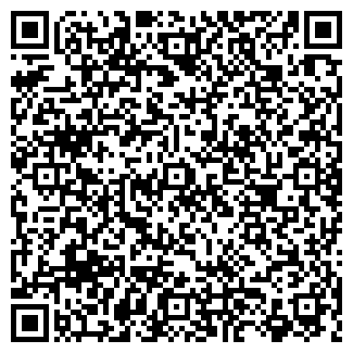 QR-код с контактной информацией организации Сибастана