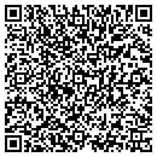 QR-код с контактной информацией организации Крищенко, ЧП