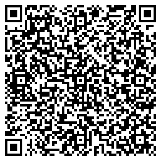 QR-код с контактной информацией организации Вермикиев, ЧП