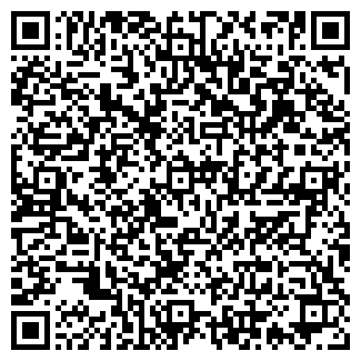 QR-код с контактной информацией организации Магазин "Выжла"