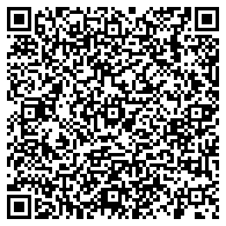 QR-код с контактной информацией организации Эльдорадо, СФХ