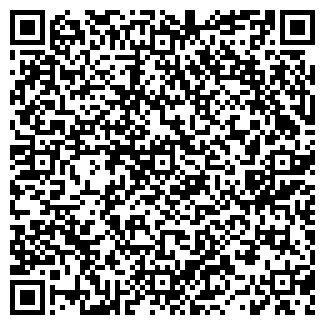 QR-код с контактной информацией организации Александр, ЧП