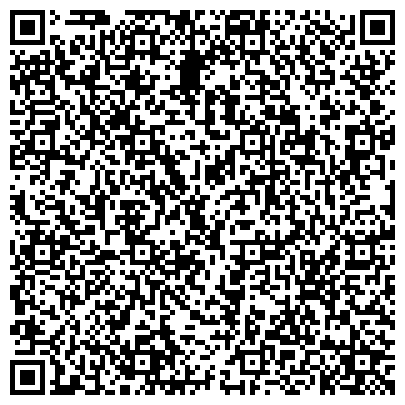 QR-код с контактной информацией организации Норддойче Пфланценцухт Ганс-Георг Лембке КГ, Представительство