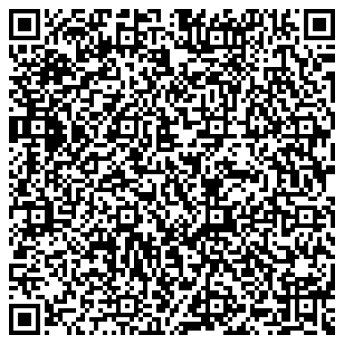 QR-код с контактной информацией организации Alangroe (Алангрэ), ТОО