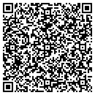 QR-код с контактной информацией организации Алина, ЧП ( Домашняя птица Донецк )