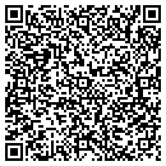 QR-код с контактной информацией организации Школьник, ЧП