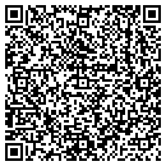 QR-код с контактной информацией организации Субъект предпринимательской деятельности ИП Фрейдман
