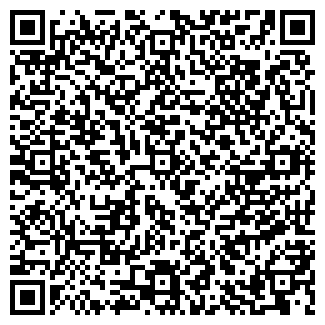 QR-код с контактной информацией организации Zoom Art