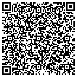 QR-код с контактной информацией организации Панчик, СПД