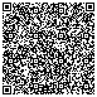 QR-код с контактной информацией организации Субъект предпринимательской деятельности Студия стекла «Vis-A-Vis»