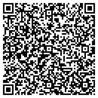 QR-код с контактной информацией организации ИП Копи ленд