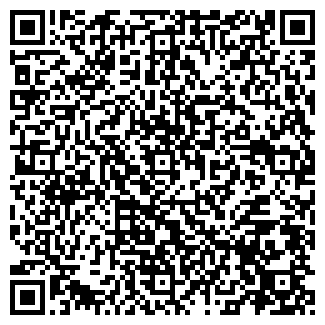 QR-код с контактной информацией организации «Viktoria»