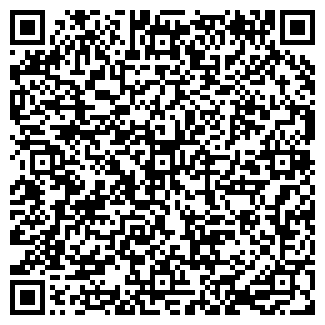 QR-код с контактной информацией организации ШЛЫКОВ, ЧП