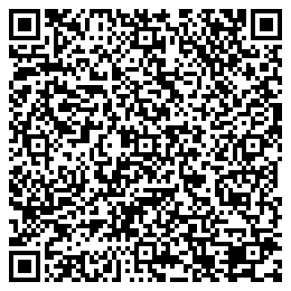 QR-код с контактной информацией организации Владимиров, ИП