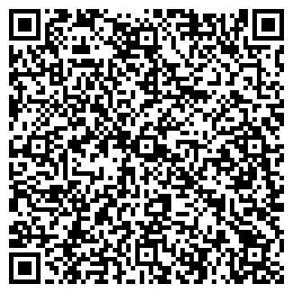 QR-код с контактной информацией организации Бабаев Е.Т, ИП