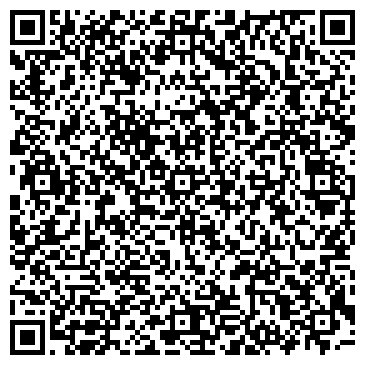 QR-код с контактной информацией организации Домино, ЧП (Интернет-магазин электроники)