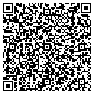 QR-код с контактной информацией организации ИП Страшнов