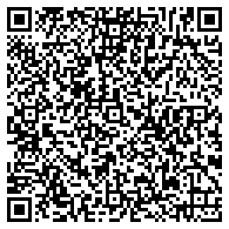 QR-код с контактной информацией организации Субъект предпринимательской деятельности Скеля