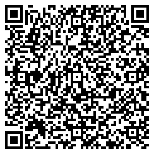 QR-код с контактной информацией организации Лион Стил, Компания