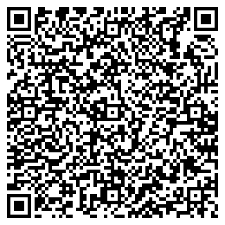QR-код с контактной информацией организации Визард, ООО