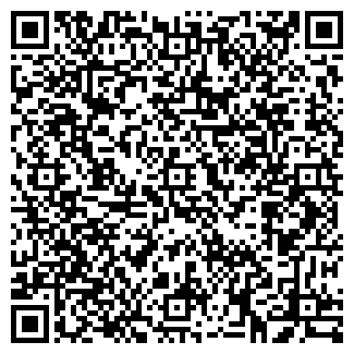 QR-код с контактной информацией организации Балгерим, ИП