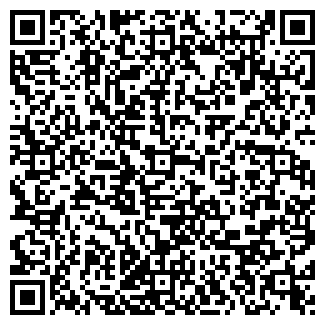 QR-код с контактной информацией организации ИП "Мадияр"