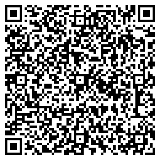 QR-код с контактной информацией организации Никополь Металл Сервис, ЧП