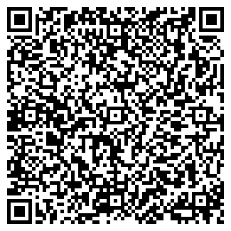 QR-код с контактной информацией организации Кидин , СПД