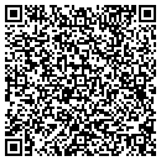 QR-код с контактной информацией организации КОЛОРИТ, ЧП
