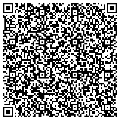 QR-код с контактной информацией организации Былым, ЧП (представительство ООО Аллюр-Макс в Херсоне)