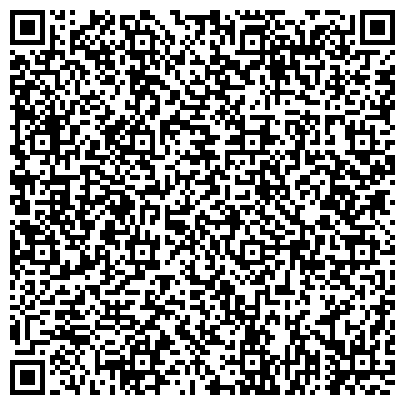 QR-код с контактной информацией организации Интернет магазин Светомаг (Svetomag), ЧП
